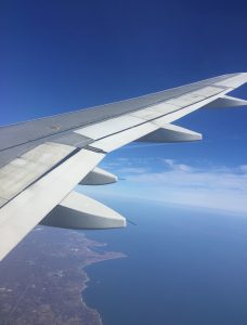 Kate’s Flight of Ideas